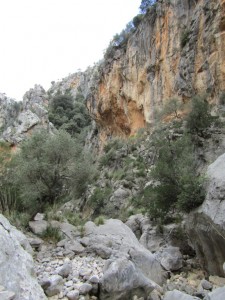 IMG_4522 (Medium)